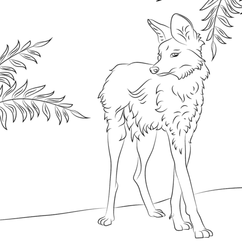 Cute Maned Wolf Coloring Page